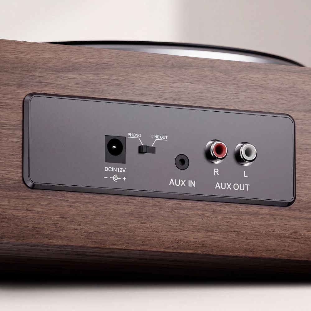 Panneau arrière de la platine Volute Noyer : alimentation 12 V, commutateur phono ou ligne, entrée AUX et sorties RCA